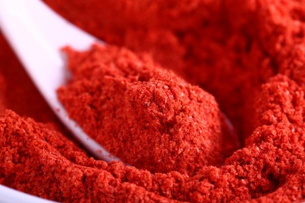 梦到四只乌龟是好的征兆吗