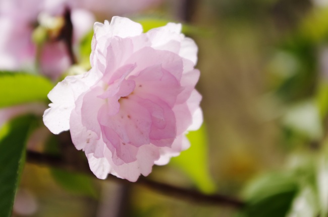 梦到了开关着火是好的征兆吗