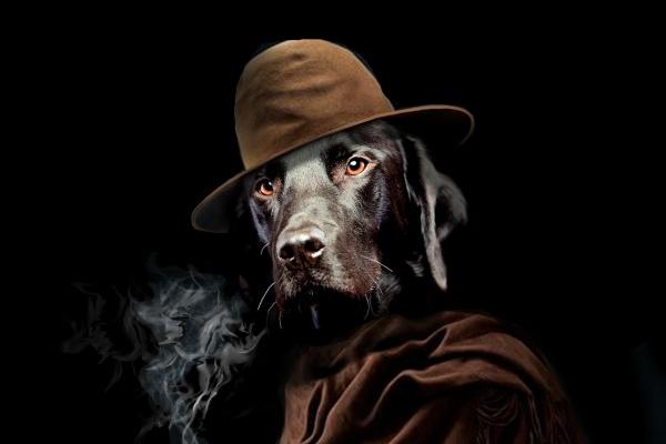 梦到了别人卖牛肉是好的征兆吗