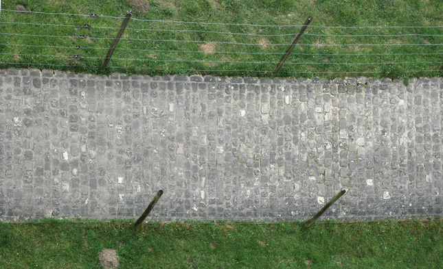 梦到了排队考试是什么意思？