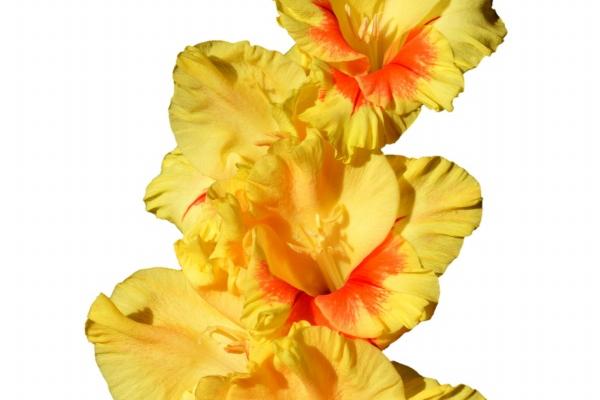 梦到了得到意外之财有何寓意