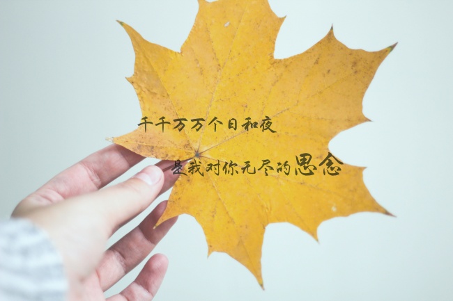 梦见梦前夫将会是什么预兆