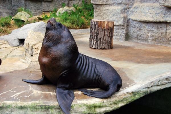 梦到捅伤人会有什么预兆