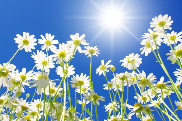 梦见同一个是不是好的征兆呢 梦见同一个是不是好的征兆呢