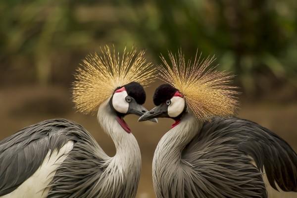 梦到扒山是什么意思？