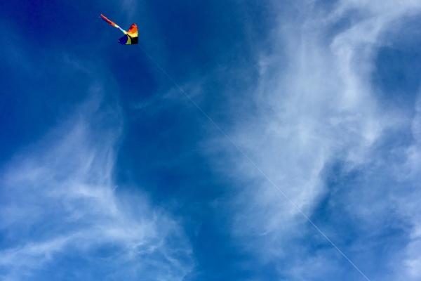 梦见蟒蛇飞有什么意思 梦见蟒蛇飞有什么意思