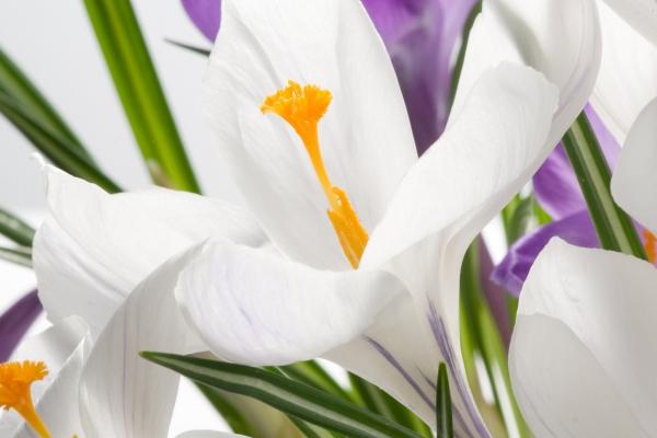 梦到打开手铐是什么兆头 梦到打开手铐是什么兆头