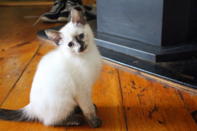 梦见帮别人买鞋是什么意思? 梦见帮别人买鞋是什么意思?