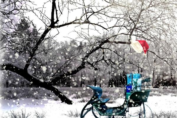 梦到野合有什么预示吗