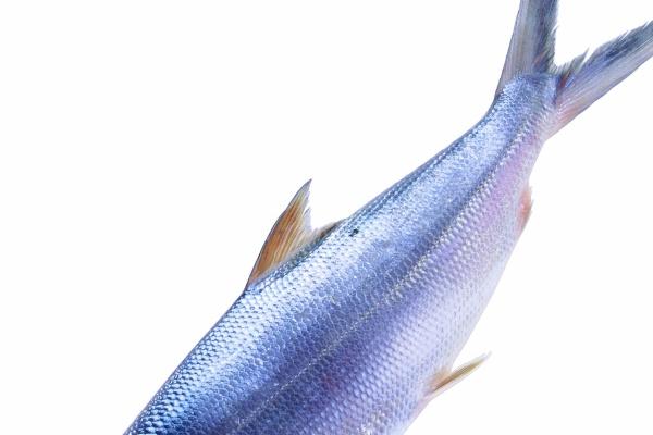 梦到杀了亲戚有什么预兆 梦到杀了亲戚有什么预兆