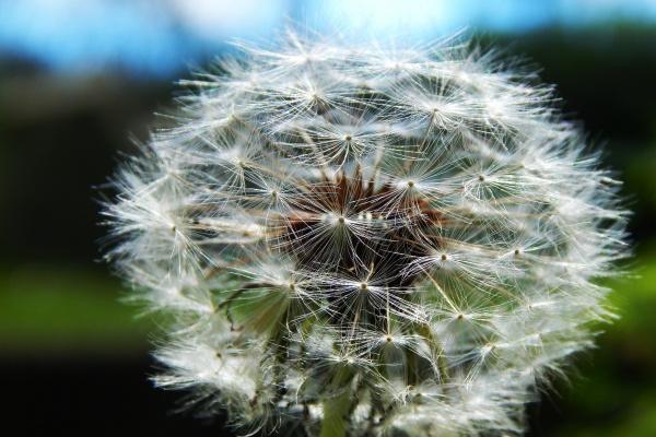 梦见清澈的小河是不是好的征兆呢