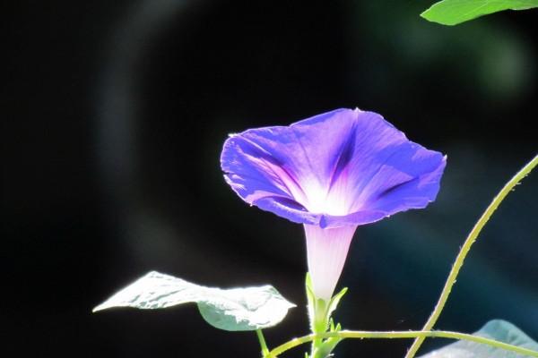 梦到死人的名字意味着什么