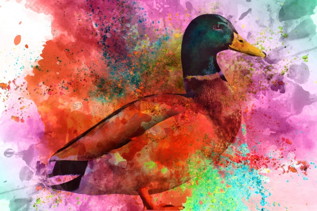 梦到了母牛下小牛会是什么预兆