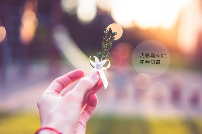 天上火命是几等命