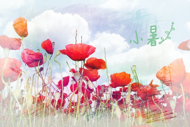 梦到了黑色猴子怎么回事