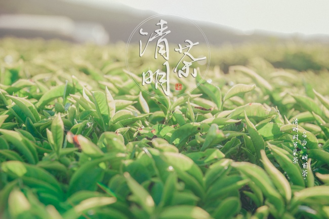 梦到了蛇生仔什么寓意