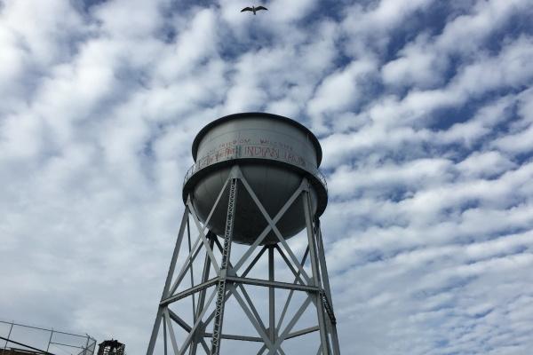 梦到了大胖猫是好的征兆吗 梦到了大胖猫是好的征兆吗