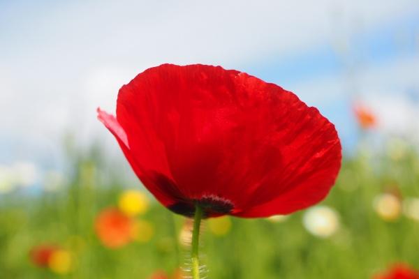 梦见鞋子破了个洞什么预兆 梦见鞋子破了个洞什么预兆