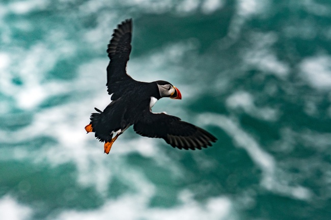 梦见冷水洗澡会怎么样 梦见冷水洗澡会怎么样