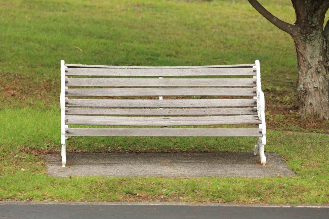 梦到超大乌龟有什么寓意吗 梦到超大乌龟有什么寓意吗