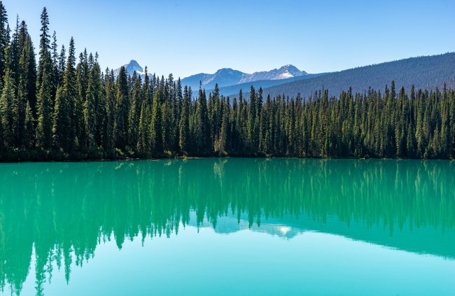 梦见偷蘑菇是好是坏 梦见偷蘑菇是好是坏