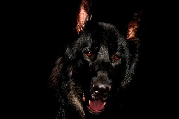 梦见蛇钻肚子有什么意思吗 梦见蛇钻肚子有什么意思吗