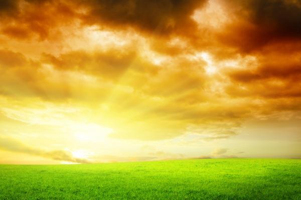 梦到了抱马意味什么 梦到了抱马意味什么