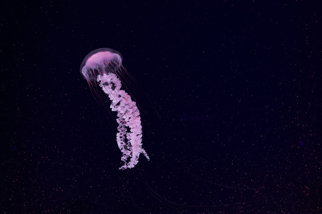 梦到了前男友了是什么意思 梦到了前男友了是什么意思