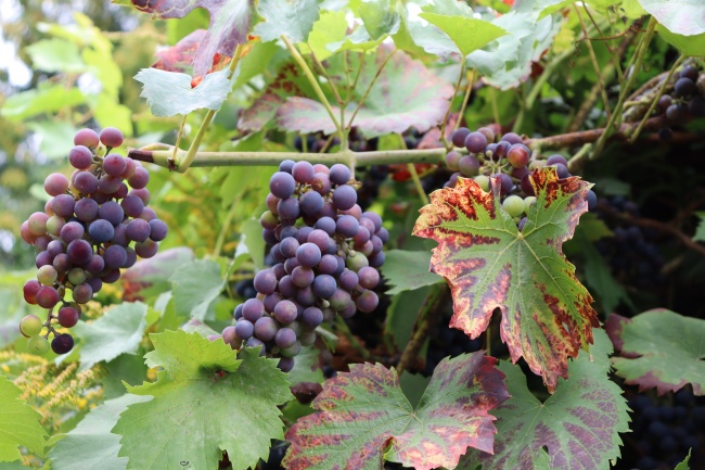 梦到了站军姿代表着什么? 梦到了站军姿代表着什么?