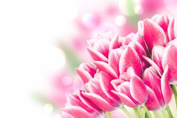 72年属鼠男人最佳妻子 72年属鼠男人最佳妻子