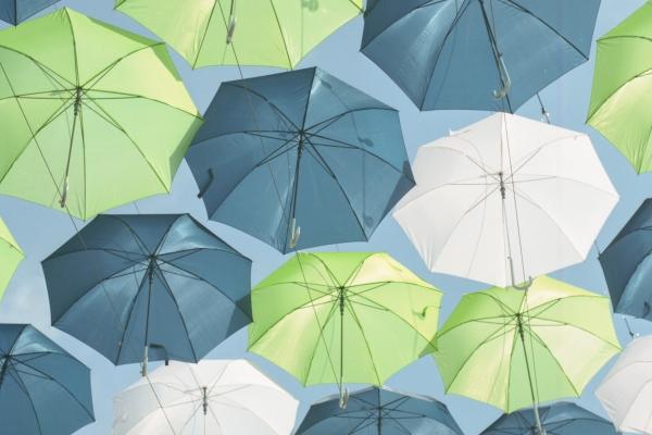 苦命龙几月出生 苦命龙几月出生