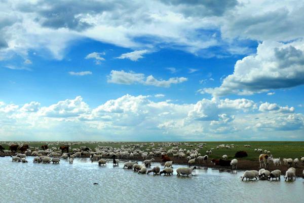 二零一四年属马的是什么命 二零一四年属马的是什么命