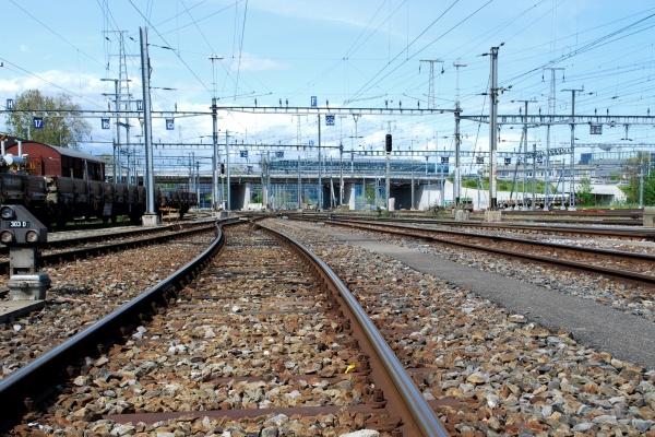 二月女兔是富贵还是穷 二月女兔是富贵还是穷