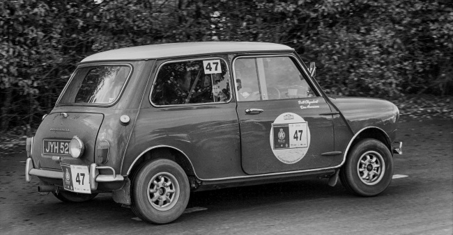 苦狗一般生在几月 苦狗一般生在几月