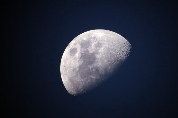 初六出生的狗是富贵命吗 初六出生的狗是富贵命吗