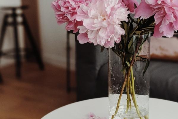 亥时出生什么生肖最好 亥时出生什么生肖最好