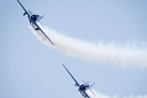 2026年避开几月马 2026年避开几月马