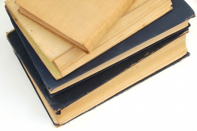 2030富贵狗一般生在几月 2030富贵狗一般生在几月