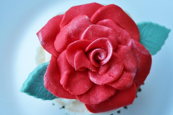 2026年生肖牛将有大事发生 2026年生肖牛将有大事发生