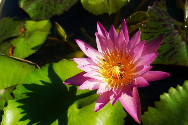 兔2026奇遇大喜事 兔2026奇遇大喜事