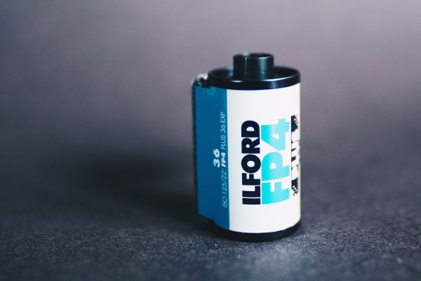 为什么都忌讳属羊的 为什么都忌讳属羊的