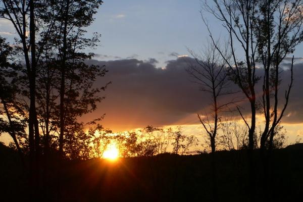 惹到属蛇女的下场怎么样 惹到属蛇女的下场怎么样