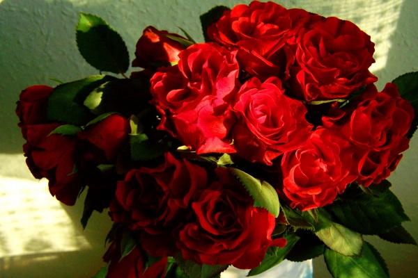 属鼠女为什么惹人怜爱 属鼠女为什么惹人怜爱