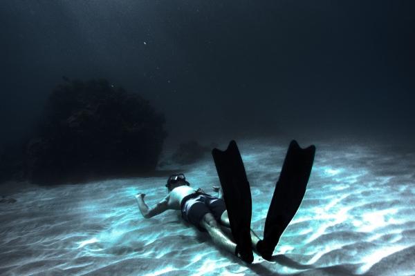 肖羊女领导命很厉害 肖羊女领导命很厉害