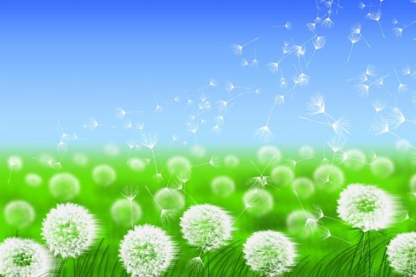 2002年马命里有官运吗 2002年马命里有官运吗