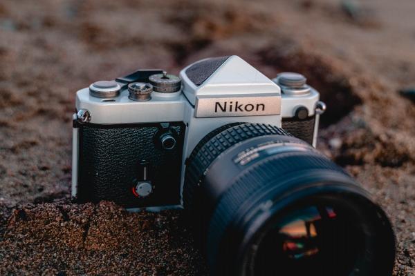 1998属虎的命运与婚姻 1998属虎的命运与婚姻