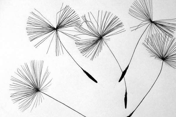 1990年出生属马的是什么命 1990年出生属马的是什么命