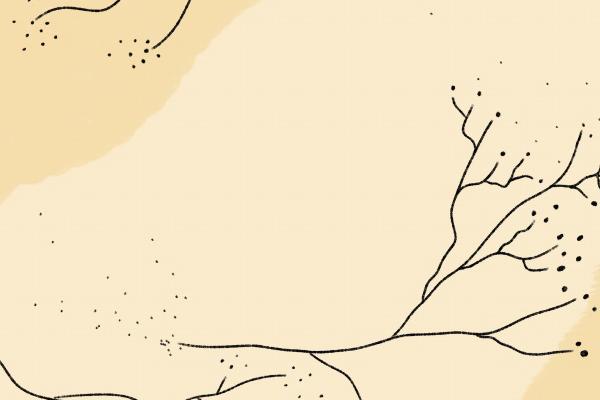 梦见飞机残骸有何寓意