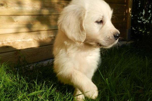 梦到寺庙师傅是吉兆吗?