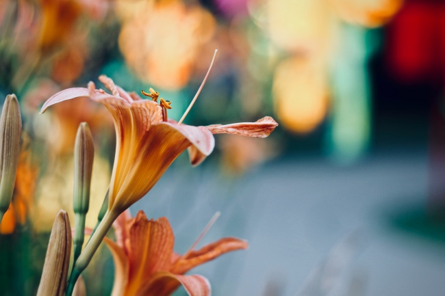 梦见自己开车出车祸了怎么样 梦见自己开车出车祸了怎么样